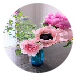菜