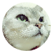 ずこ