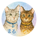 ちい